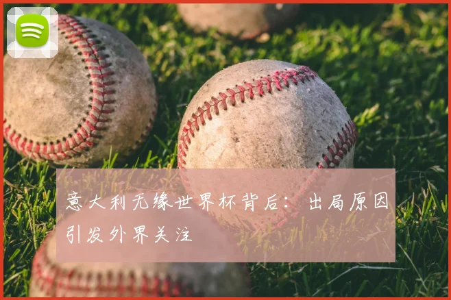 意大利无缘世界杯背后:出局原因引发外界关注