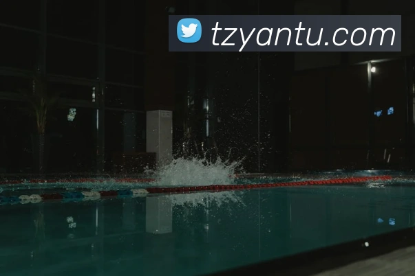 多媒体互动体验